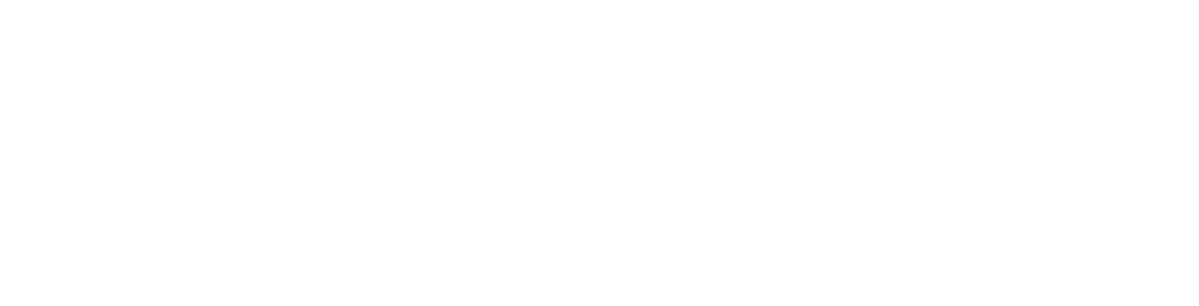 Dualmex