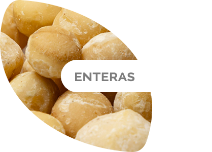 MAcadamia entera