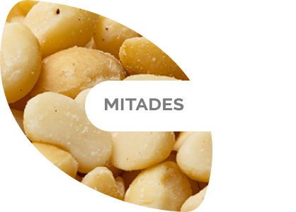 Macadamia mitades